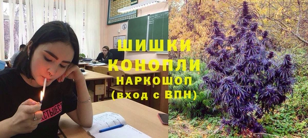 стаф Вязьма