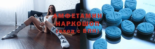 стаф Вязьма