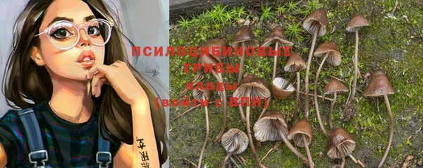 марихуана Вяземский