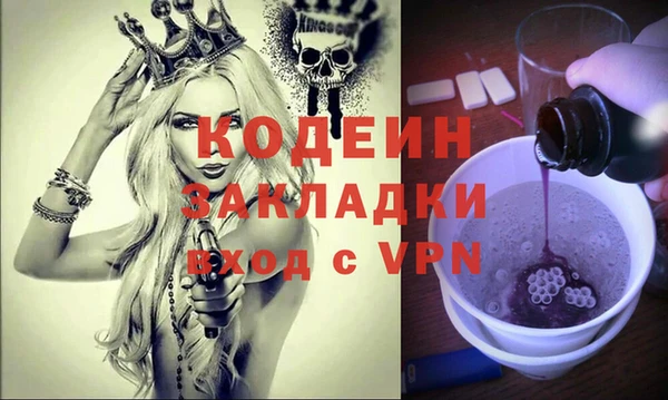 стаф Вязьма