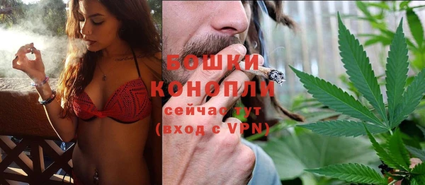 трава Горно-Алтайск