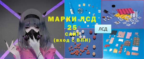 стаф Вязьма